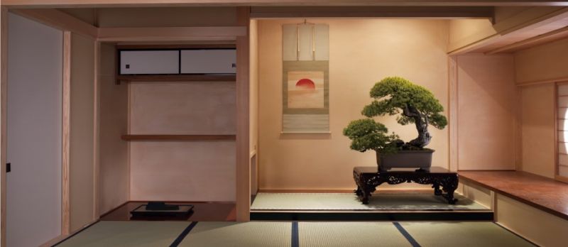Omiya_Bonsai